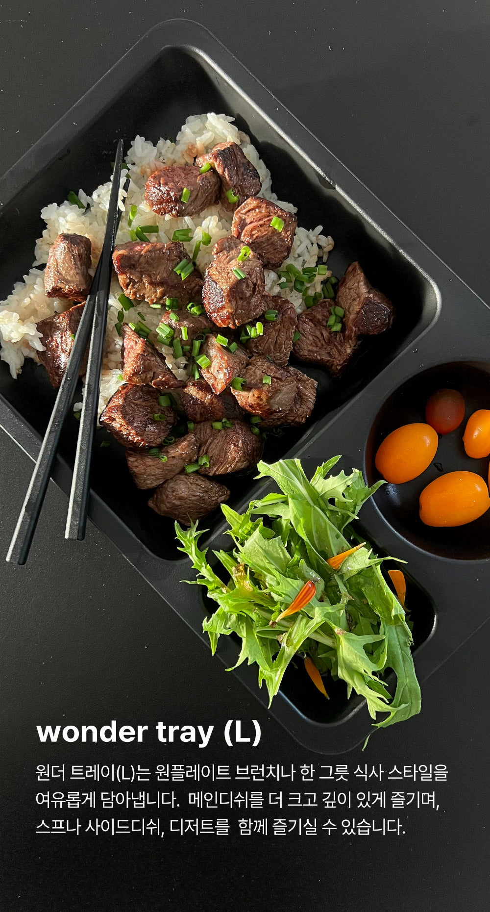 CERIZ Wonder Tray L