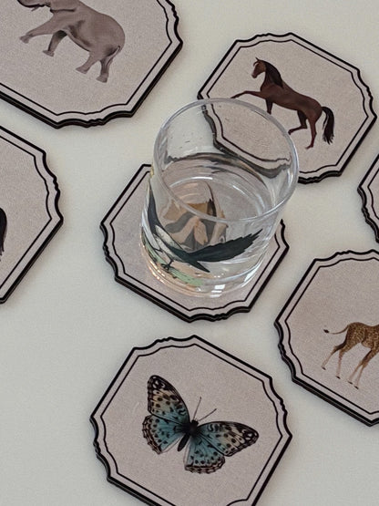 Cornici animat Coasters