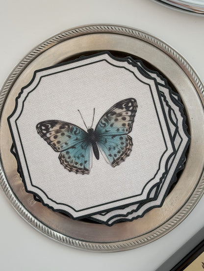 Cornici animat Coasters