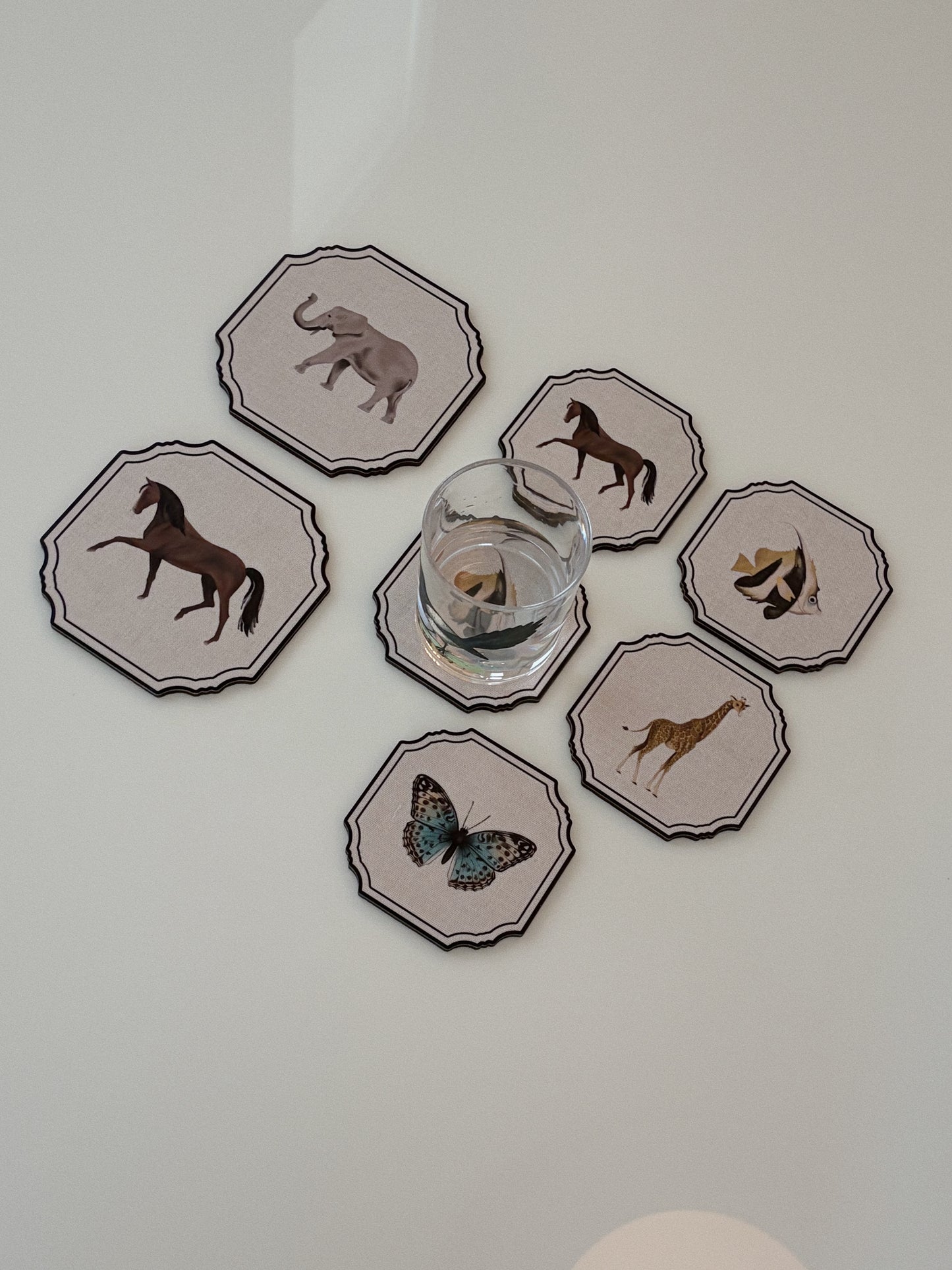 Cornici animat Coasters