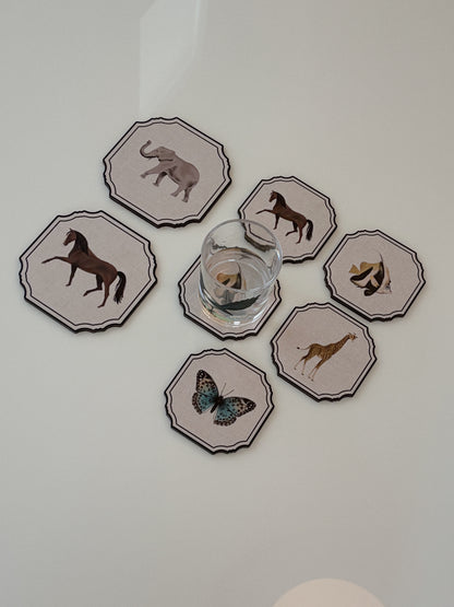 Cornici animat Coasters