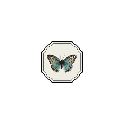 Cornici animat Coasters
