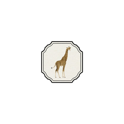 Cornici animat Coasters
