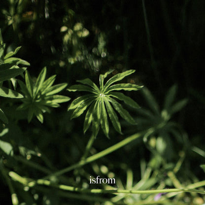 ISFROM Revitalizing Moisturizer