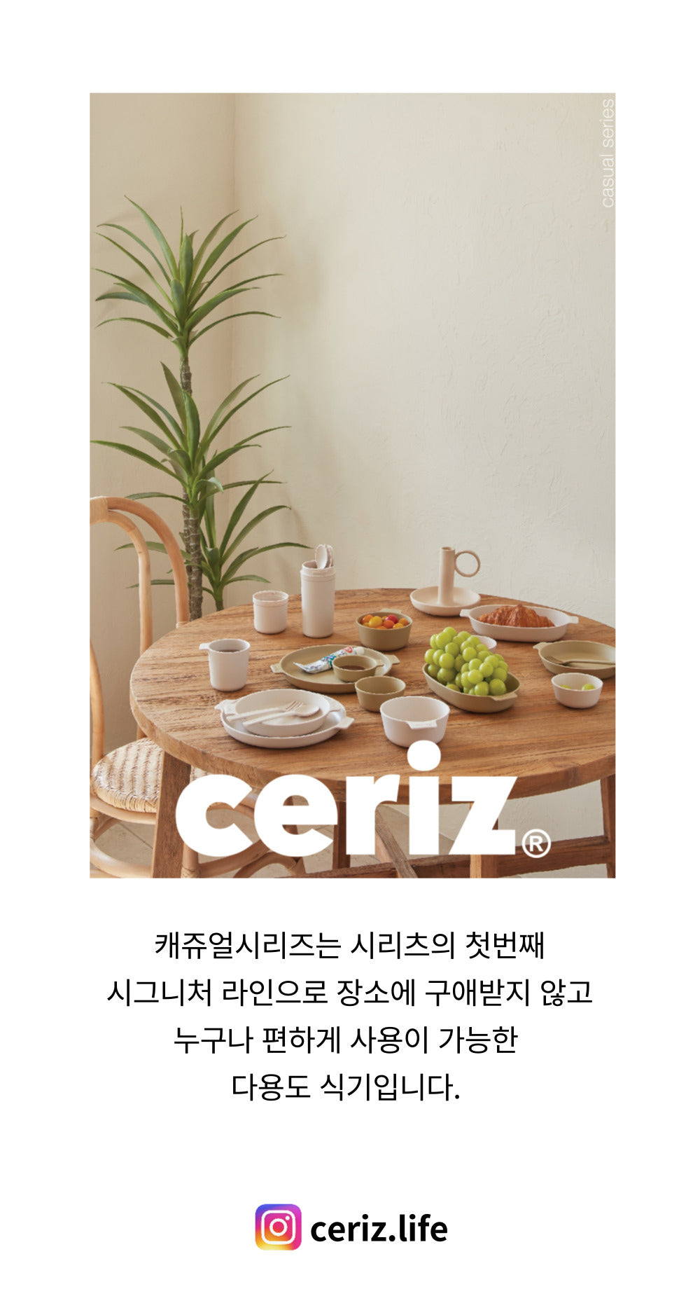 CERIZ Casual Oval Plate